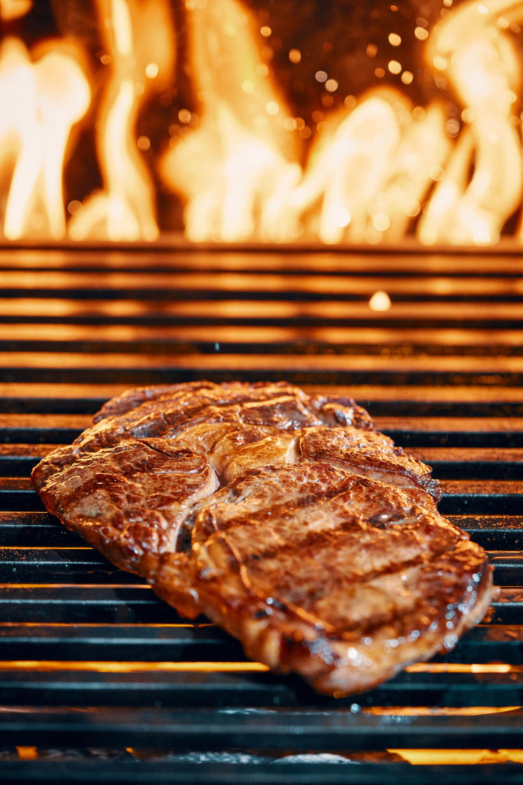 Gas Grills